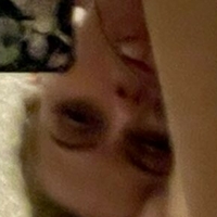 ChloeToy Nackt
