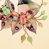 Colleen Parker Nackt