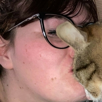 kittykatastrophy69 Nackt